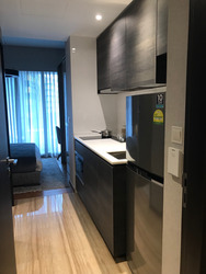 Sims Urban Oasis (D14), Condominium #248543321